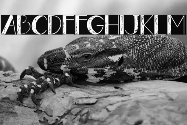 Gently Font examples