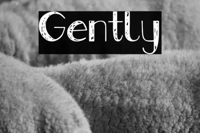 Gently Font examples