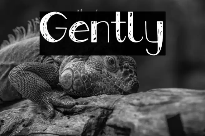 Gently Font examples