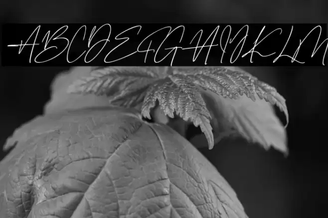 Gentrice Story Fonte examples