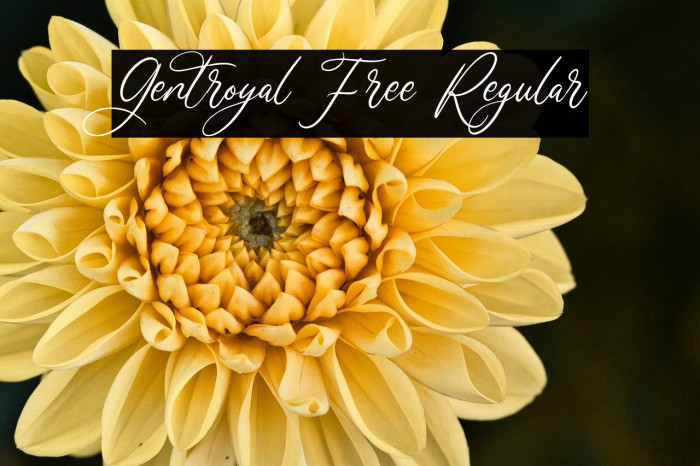 Gentroyal Free Regular Example 3