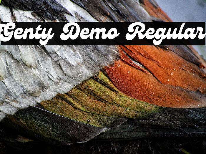 Genty Demo Regular Example 3