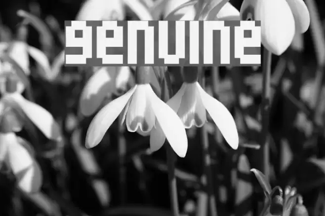 Genuine Font examples