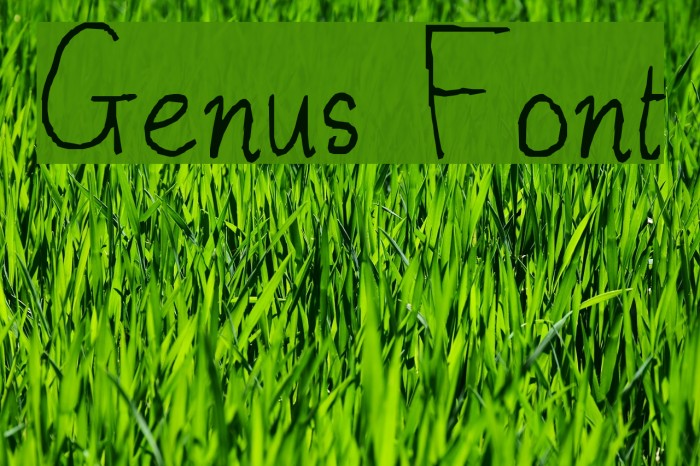Genus Font examples