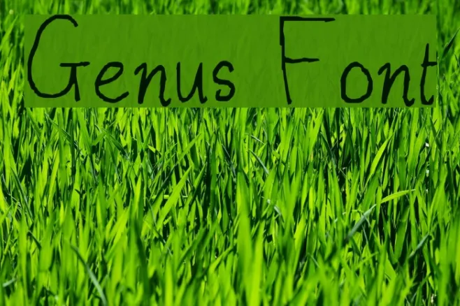 Genus Example 3