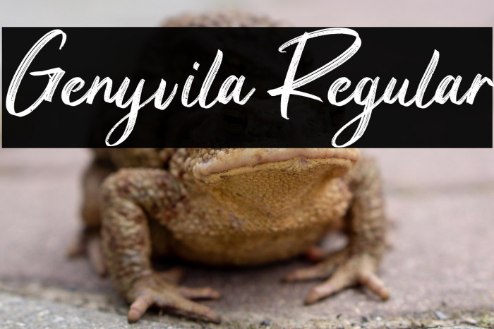 Genyvila Regular Example 2
