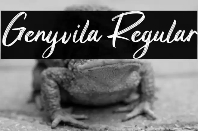 Genyvila Regular Font examples