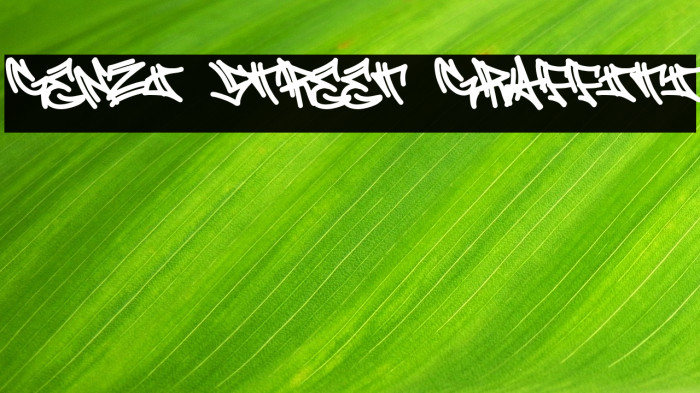 Genzi Street Graffiti Example 2