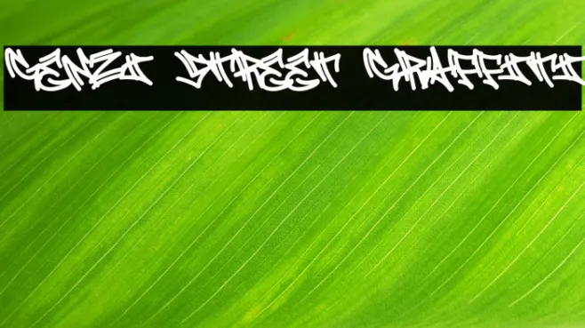 Genzi Street Graffiti Example 2