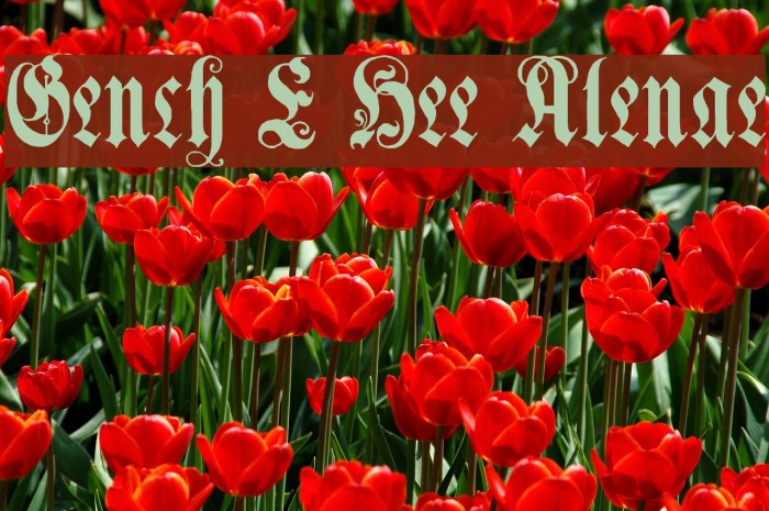 Genzsch Et Heyse Alternate Font examples