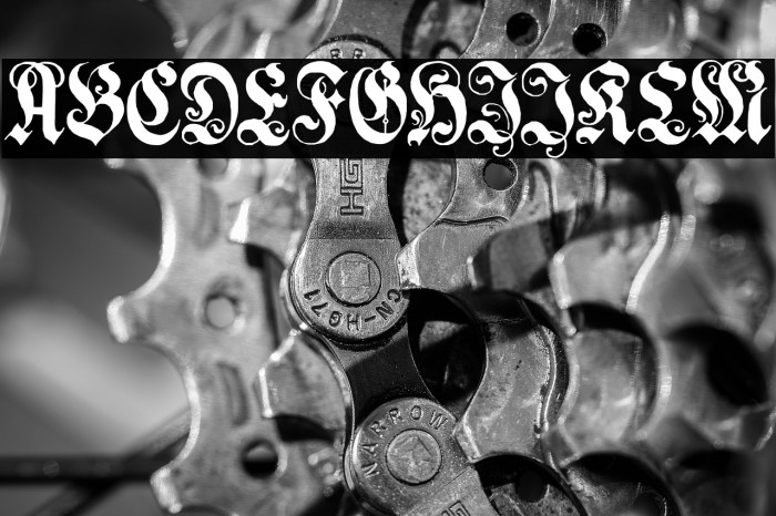 GenzschEtHeyse Polices examples