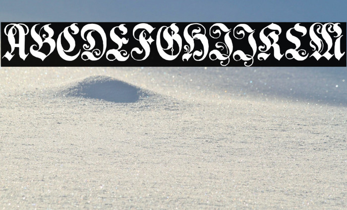 GenzschEtHeyse Polices examples