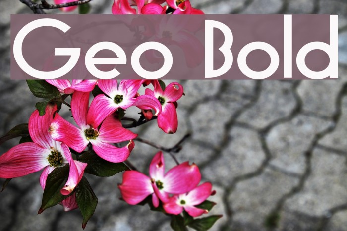 Geo Bold Font examples