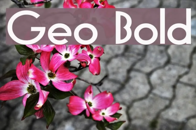 Geo Bold Example 1
