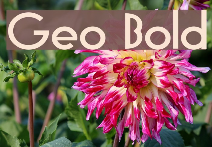 Geo Bold Font examples