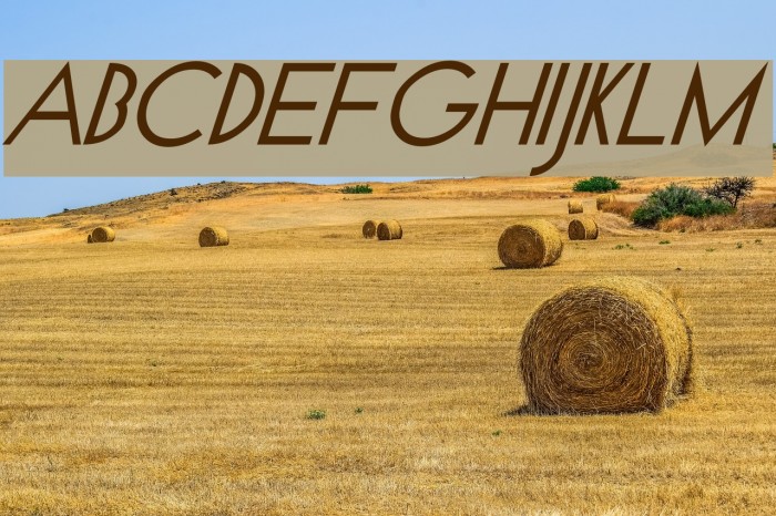Geo Italic Font examples
