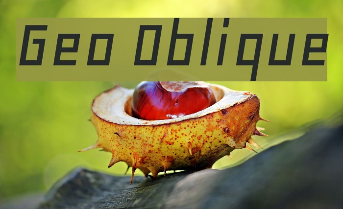 Geo Oblique Font examples