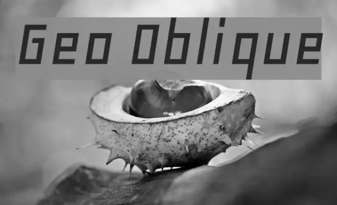 Geo Oblique خط examples
