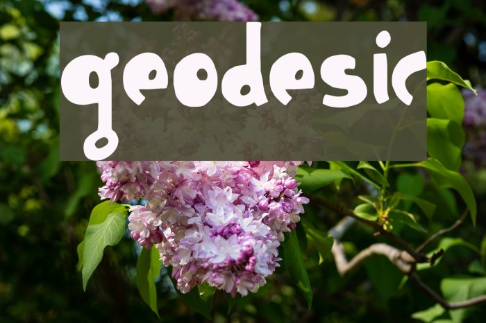 Geodesic Font examples