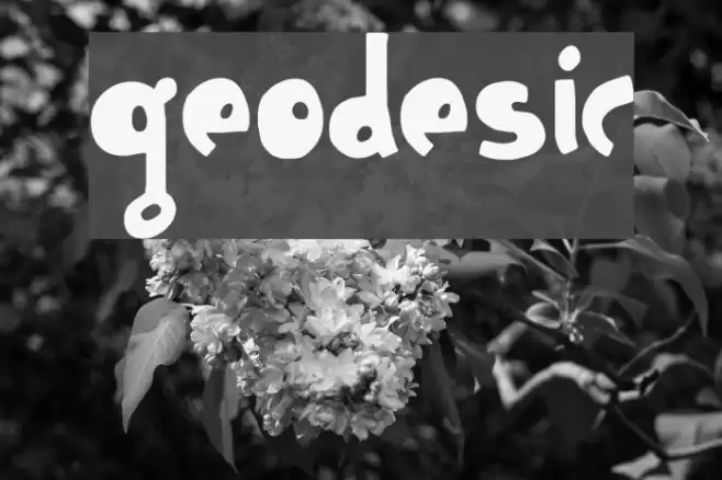 Geodesic フォント examples