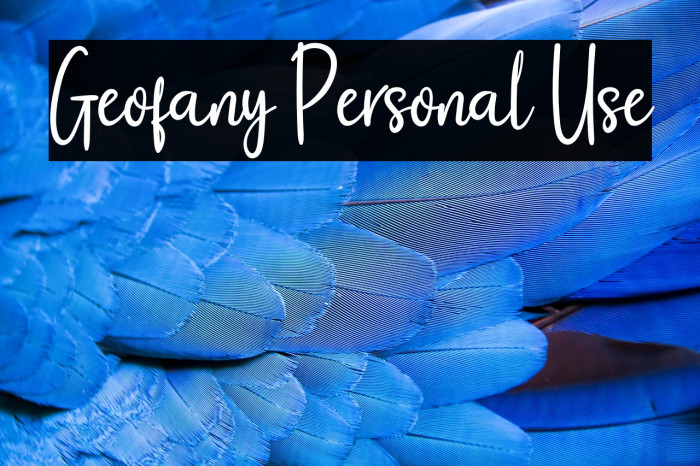 Geofany Personal Use Example 1