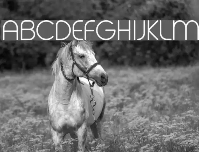 Geoma Light Demo Font examples