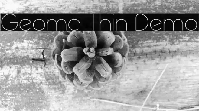 Geoma Thin Demo Font examples