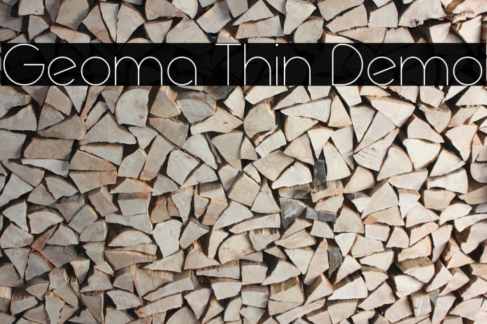 Geoma Thin Demo Polices examples