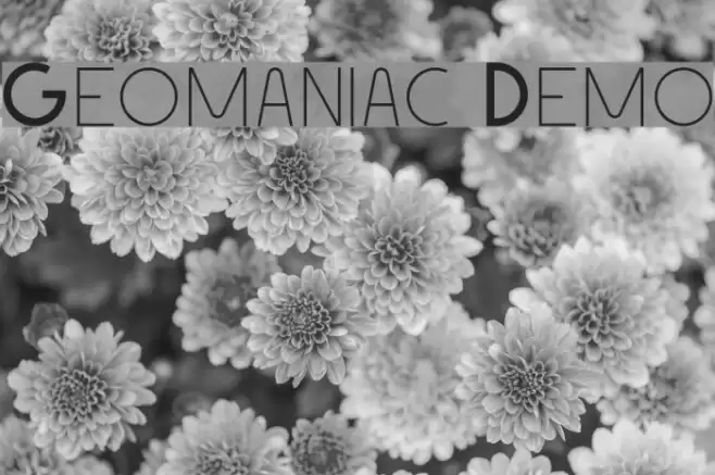 Geomaniac Demo Font examples