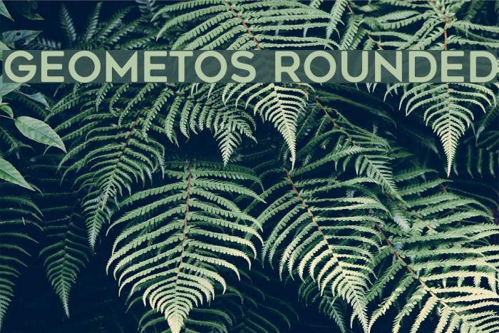Geometos Rounded Font FFonts net