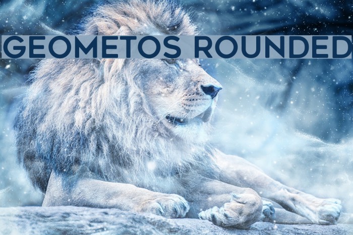 Geometos Rounded Example 3