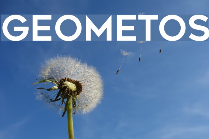 Geometos Font examples