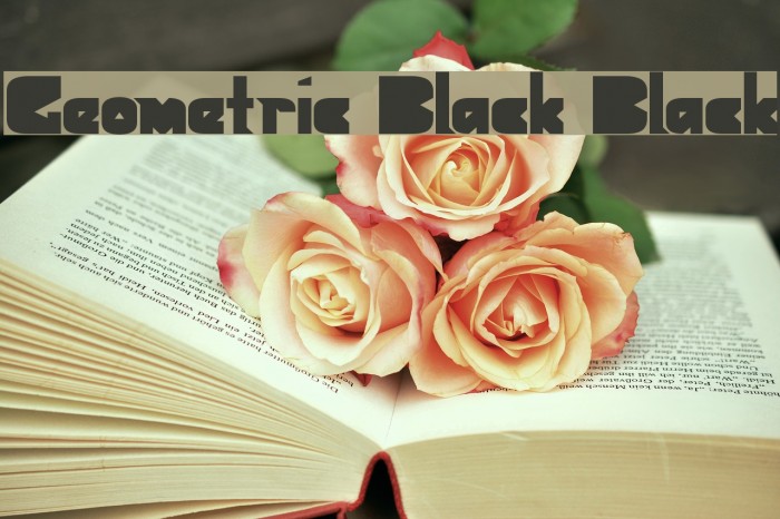 Geometric Black Black Font examples