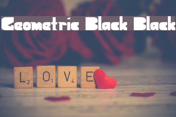 Geometric Black Black Font examples