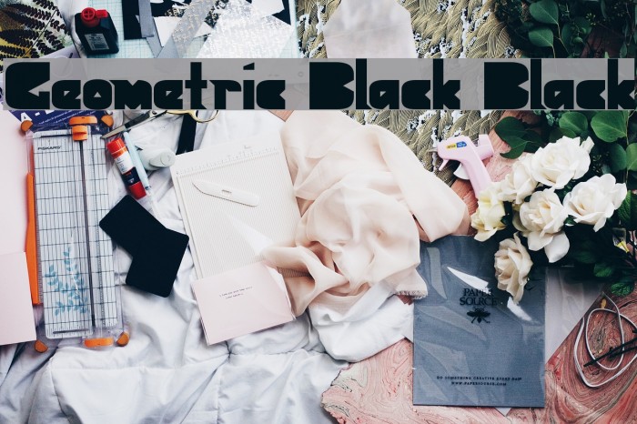 Geometric Black Black Font examples
