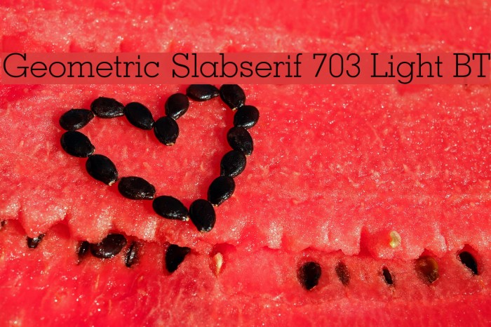 Geometric Slabserif 703 Light BT Example 1