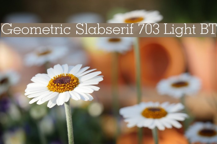 Geometric Slabserif 703 Light BT Example 2