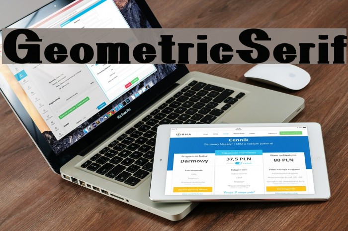 GeometricSerif Font examples