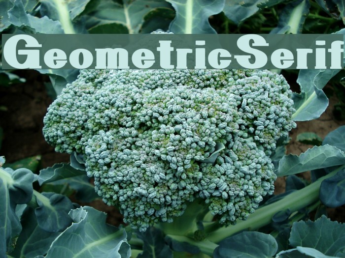 GeometricSerif Font examples