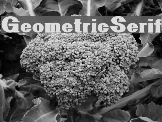 GeometricSerif Polices examples