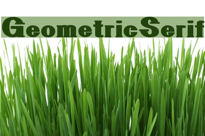 GeometricSerif Font examples