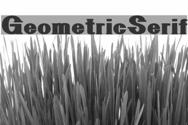 GeometricSerif Polices examples