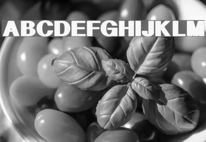 Geometric Fuentes examples