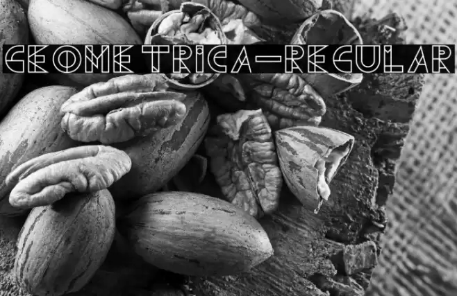 Geometrica-Regular Font examples