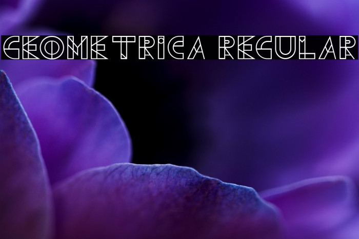 Geometrica Regular Example 3