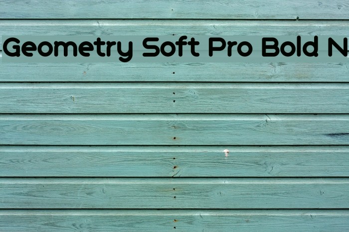 Geometry Soft Pro Bold N Caratteri examples