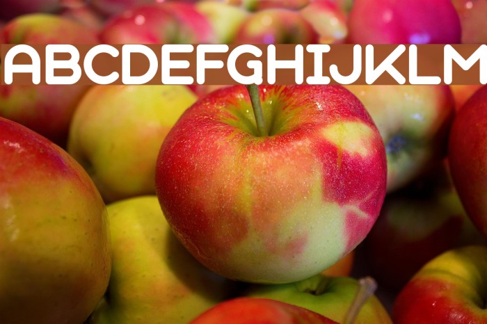 GeometrySoftPro-BoldN Example 2