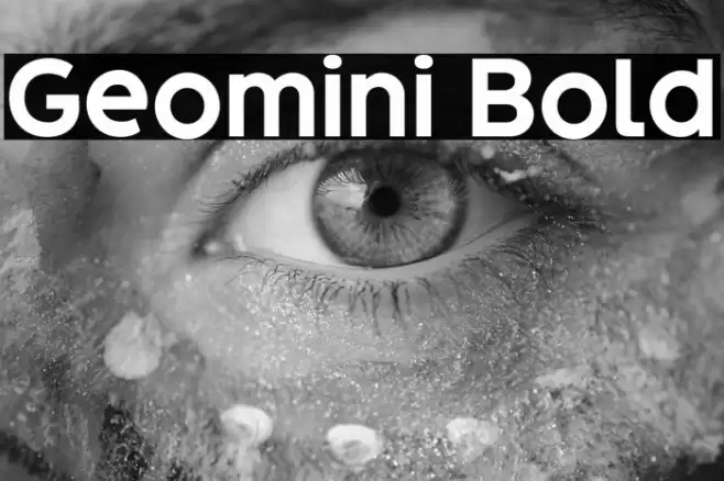 Geomini Bold फ़ॉन्ट examples