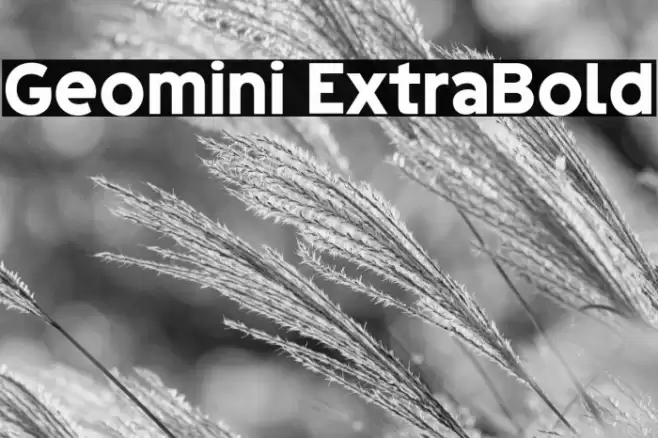 Geomini ExtraBold फ़ॉन्ट examples