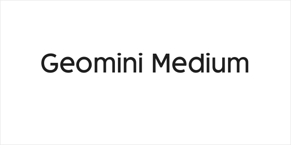Geomini Medium Logo